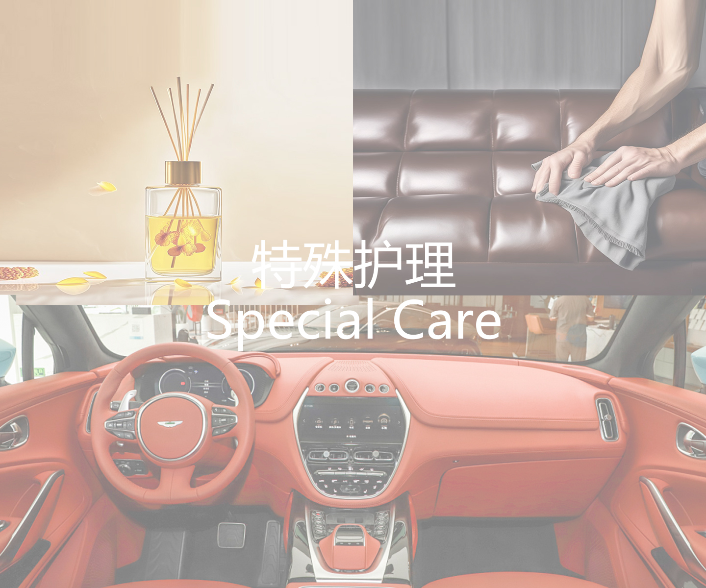 特殊护理